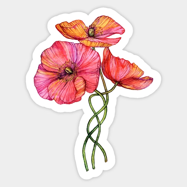 Peach & Pink Poppy Tangle Sticker by micklyn
